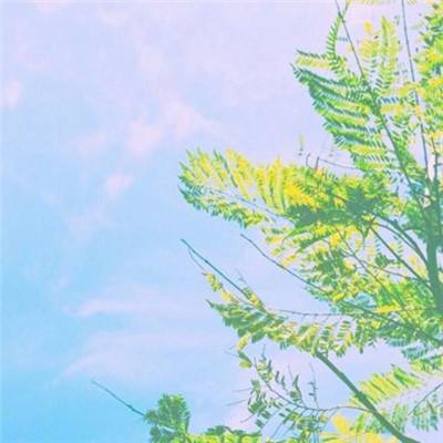 堡垒之夜前线突击官方最新下载